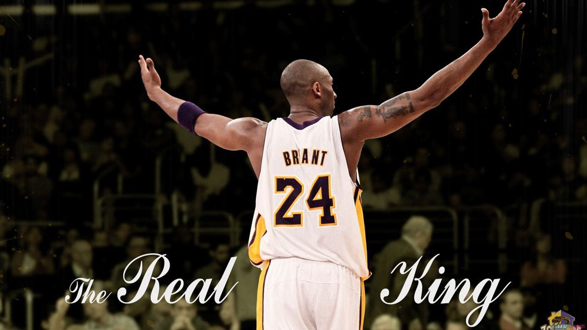 “亚戈·卡尔曼的多面手角色,成为阿根廷美洲狮队的关键人物”