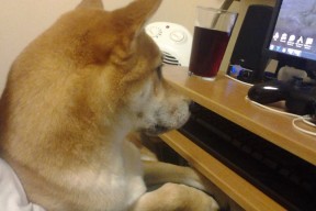 开云·体育官方网站入口-数字体育在青少年篮球培训中应用遍地开花，数字体育的意义